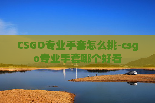CSGO专业手套怎么挑-csgo专业手套哪个好看
