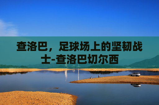 查洛巴,足球场上的坚韧战士-查洛巴切尔西 查洛巴,足球场上的坚韧战士-查洛巴切尔西