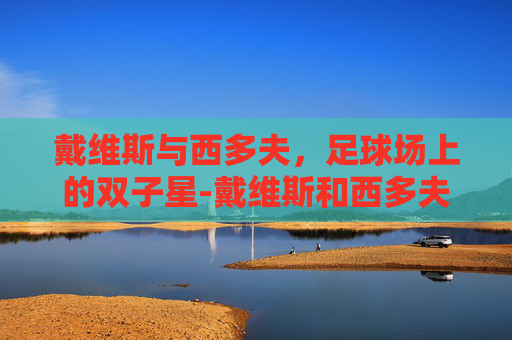 戴维斯与西多夫,足球场上的双子星-戴维斯和西多夫谁厉害一点 戴维斯与西多夫,足球场上的双子星-戴维斯和西多夫谁厉害一点