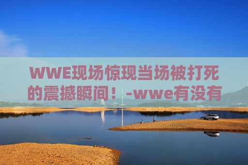 WWE现场惊现当场被打死的震撼瞬间!-wwe有没有被打死的 WWE现场惊现当场被打死的震撼瞬间!-wwe有没有被打死的