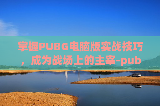 掌握PUBG电脑版实战技巧，成为战场上的主宰-pubg pc