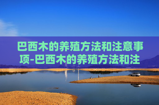 巴西木的养殖方法和注意事项-巴西木的养殖方法和注意事项水养 巴西木的养殖方法和注意事项-巴西木的养殖方法和注意事项水养