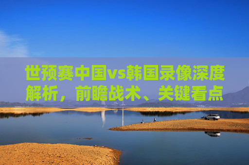 世预赛中国vs韩国录像深度解析,前瞻战术、关键看点与实用备战指南内容,-世预赛录像中国VS韩国 世预赛中国vs韩国录像深度解析,前瞻战术、关键看点与实用备战指南内容,-世预赛录像中国VS韩国