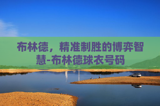 布林德,精准制胜的博弈智慧-布林德球衣号码 布林德,精准制胜的博弈智慧-布林德球衣号码