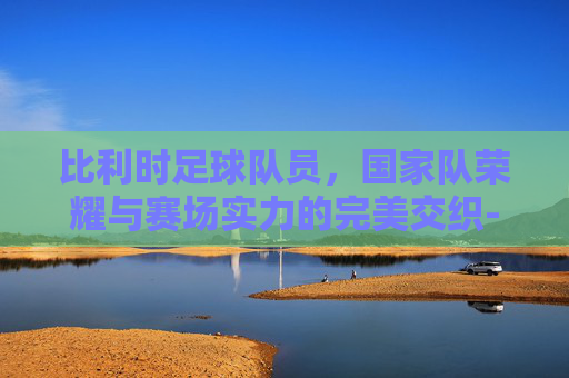 比利时足球队员,国家队荣耀与赛场实力的完美交织-比利时足球队员身价排名 比利时足球队员,国家队荣耀与赛场实力的完美交织-比利时足球队员身价排名