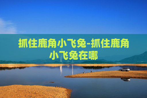 抓住鹿角小飞兔-抓住鹿角小飞兔在哪