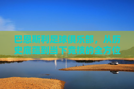 巴恩斯利足球俱乐部,从历史底蕴到当下竞技的全方位解析与征战指南-巴恩斯利足球俱乐部阵容雷速 巴恩斯利足球俱乐部,从历史底蕴到当下竞技的全方位解析与征战指南-巴恩斯利足球俱乐部阵容雷速