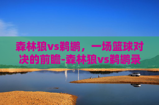 森林狼vs鹈鹕,一场篮球对决的前瞻-森林狼vs鹈鹕录像回放 森林狼vs鹈鹕,一场篮球对决的前瞻-森林狼vs鹈鹕录像回放