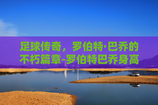 足球传奇,罗伯特·巴乔的不朽篇章-罗伯特巴乔身高 足球传奇,罗伯特·巴乔的不朽篇章-罗伯特巴乔身高