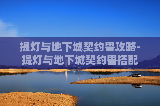 提灯与地下城契约兽攻略-提灯与地下城契约兽搭配