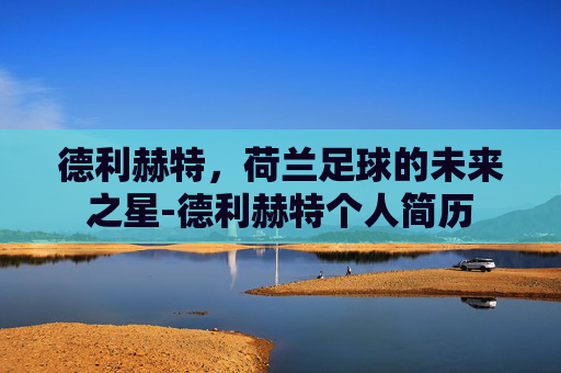 德利赫特,荷兰足球的未来之星-德利赫特个人简历 德利赫特,荷兰足球的未来之星-德利赫特个人简历