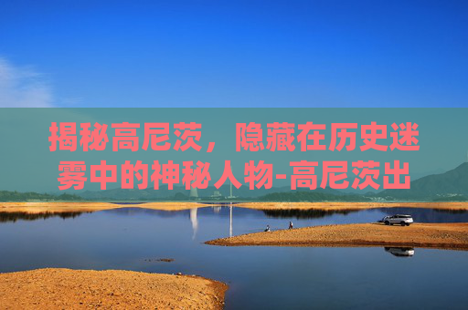 揭秘高尼茨，隐藏在历史迷雾中的神秘人物-高尼茨出招表