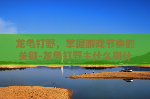 龙龟打野，掌握游戏节奏的关键-龙龟打野主什么副什么