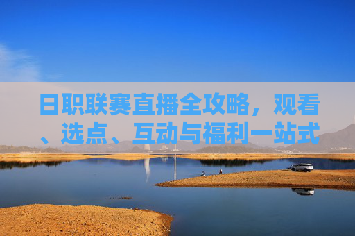日职联赛直播全攻略,观看、选点、互动与福利一站式解析-日职联赛直播视频 日职联赛直播全攻略,观看、选点、互动与福利一站式解析-日职联赛直播视频