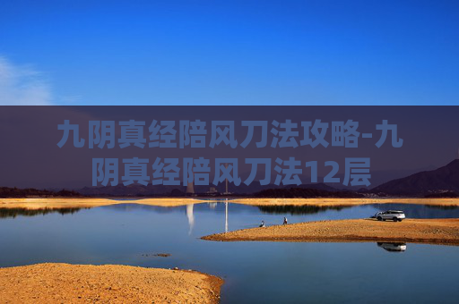 九阴真经陪风刀法攻略-九阴真经陪风刀法12层