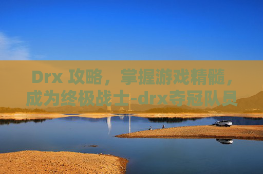 Drx 攻略，掌握游戏精髓，成为终极战士-drx夺冠队员