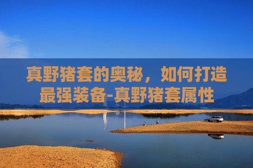 真野猪套的奥秘，如何打造最强装备-真野猪套属性