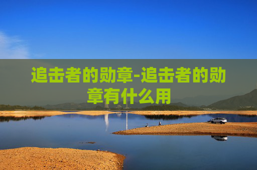 追击者的勋章-追击者的勋章有什么用