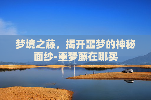 梦境之藤，揭开噩梦的神秘面纱-噩梦藤在哪买