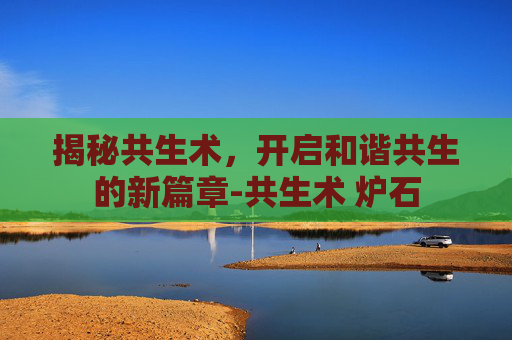 揭秘共生术，开启和谐共生的新篇章-共生术 炉石