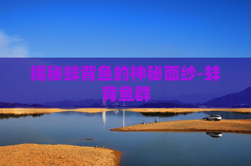 揭秘蚌背鱼的神秘面纱-蚌背鱼群