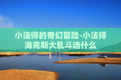 小法师的奇幻冒险-小法师海克斯大乱斗选什么