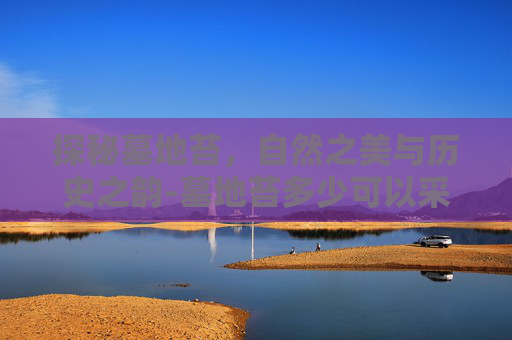 探秘墓地苔，自然之美与历史之韵-墓地苔多少可以采