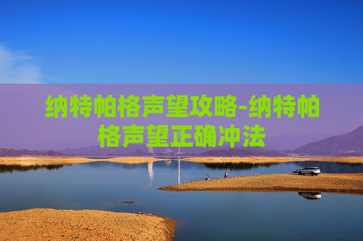 纳特帕格声望攻略-纳特帕格声望正确冲法