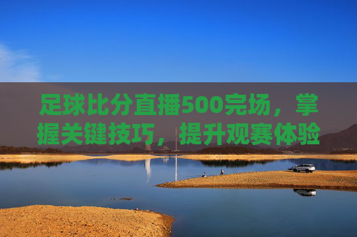 足球比分直播500完场，掌握关键技巧，提升观赛体验-
