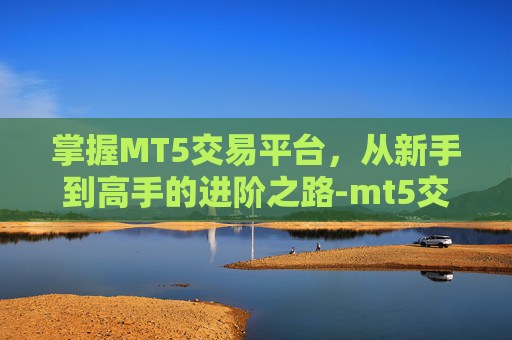 掌握MT5交易平台，从新手到高手的进阶之路-mt5交易平台官网下载安卓