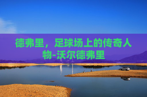 德弗里，足球场上的传奇人物-沃尔德弗里