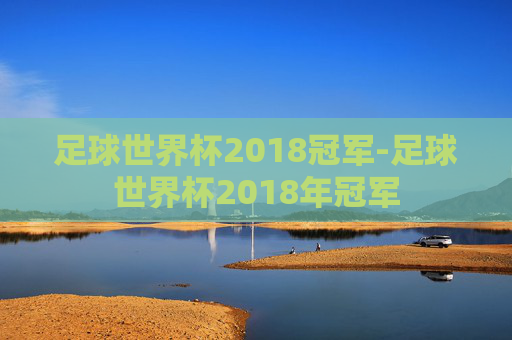足球世界杯2018冠军-足球世界杯2018年冠军