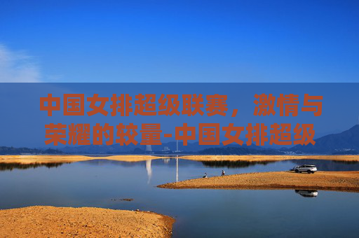 中国女排超级联赛，激情与荣耀的较量-中国女排超级联赛积分榜最新
