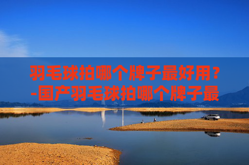羽毛球拍哪个牌子最好用？-国产羽毛球拍哪个牌子最好用