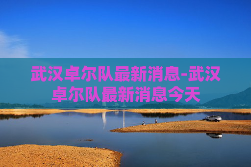 武汉卓尔队最新消息-武汉卓尔队最新消息今天