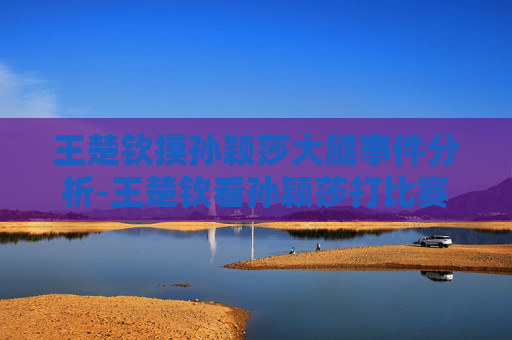 王楚钦摸孙颖莎大腿事件分析-王楚钦看孙颖莎打比赛是哪一场