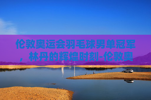 伦敦奥运会羽毛球男单冠军，林丹的辉煌时刻-伦敦奥运 羽毛球男单