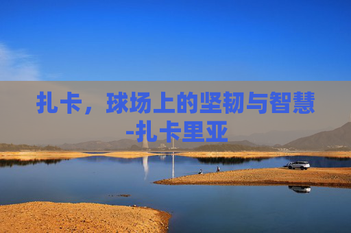 扎卡，球场上的坚韧与智慧-扎卡里亚