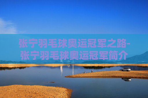 张宁羽毛球奥运冠军之路-张宁羽毛球奥运冠军简介
