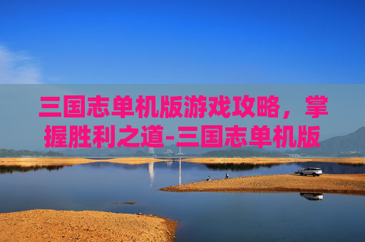 三国志单机版游戏攻略，掌握胜利之道-三国志单机版免费下载