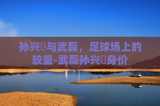 孙兴慜与武磊，足球场上的较量-武磊孙兴慜身价