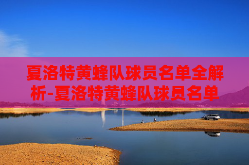 夏洛特黄蜂队球员名单全解析-夏洛特黄蜂队球员名单照片
