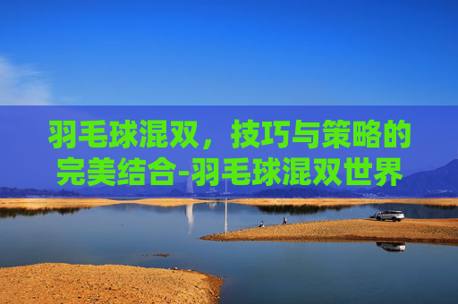 羽毛球混双，技巧与策略的完美结合-羽毛球混双世界排名