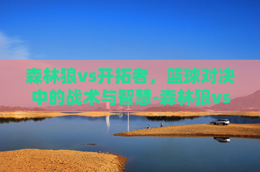 森林狼vs开拓者，篮球对决中的战术与智慧-森林狼vs开拓者直播
