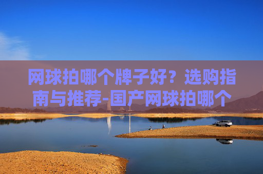 网球拍哪个牌子好？选购指南与推荐-国产网球拍哪个牌子好
