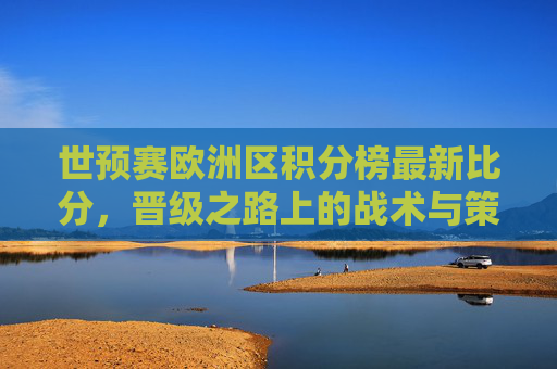 世预赛欧洲区积分榜最新比分，晋级之路上的战术与策略-世预赛欧洲区 积分榜