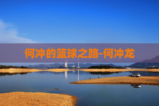 何冲的篮球之路-何冲龙
