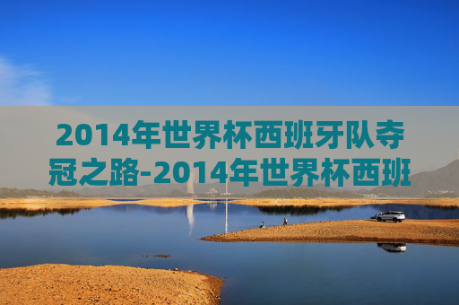2014年世界杯西班牙队夺冠之路-2014年世界杯西班牙阵容
