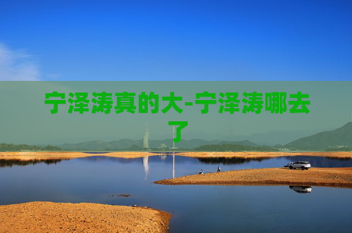 宁泽涛真的大-宁泽涛哪去了