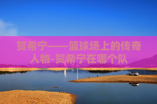 贺希宁——篮球场上的传奇人物-贺希宁在哪个队
